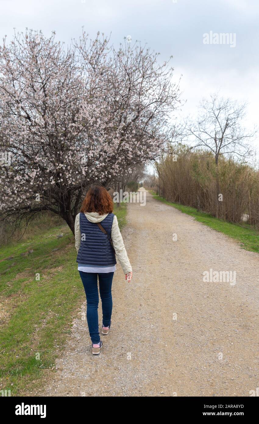 Frau, die im Herbst auf einer Landstraße spazieren geht Stockfoto