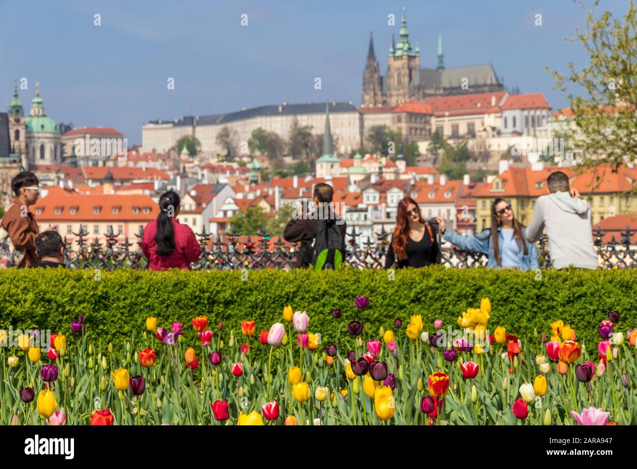 Blick von der Altstadt auf die Prager Burg und den Stadtteil Mala Strana (Kleinseite), Prag, Böhmen, Tschechien, Europa Stockfoto