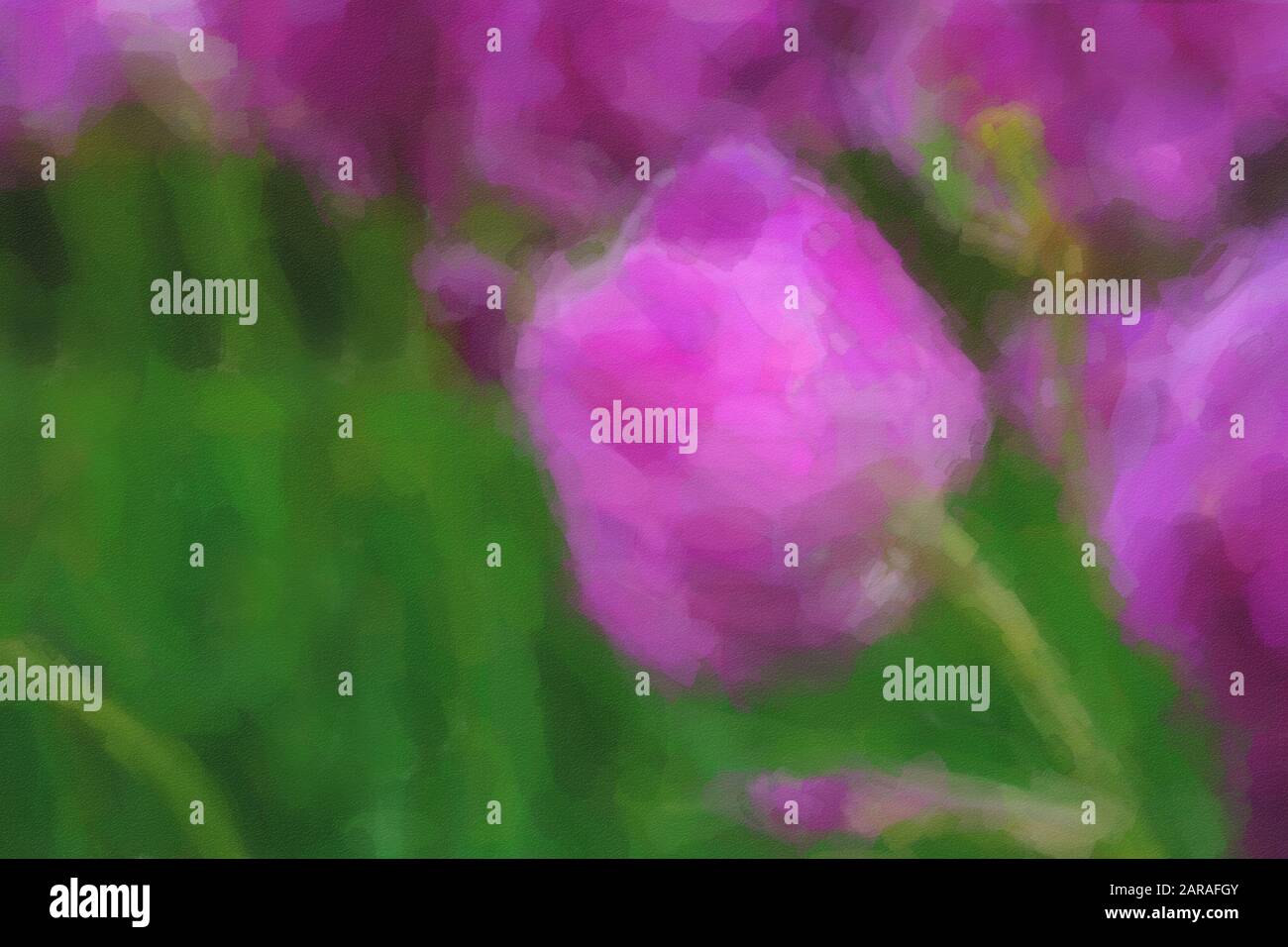 Violette Tulpen Blumen im Stil von Aquarellen für Hintergrunddesign gemalt.Schöne Tulpe im grünen Frühlings-Garten mit klassischem Malfilter bearbeitet Stockfoto
