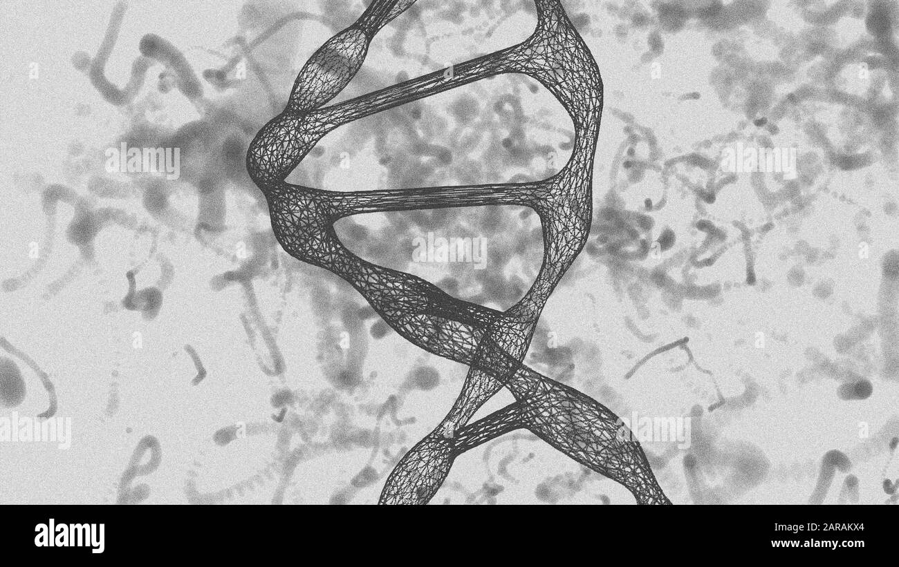Das menschliche DNA-Modell, Zeichnung, Drahtmodell, monochrom - 3D-Illustration Stockfoto