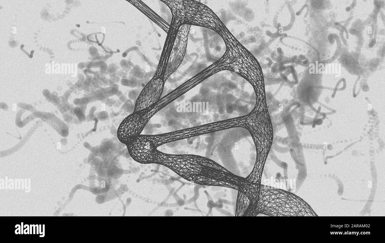 Das menschliche DNA-Modell, Zeichnung, Drahtmodell, monochrom - 3D-Illustration Stockfoto