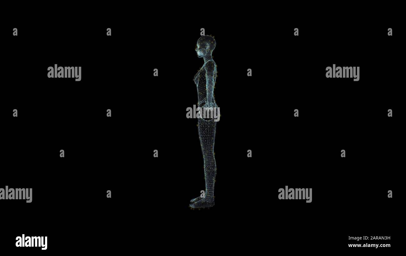 Hologramm-Drahtmodell Für Den Menschlichen Körper. Schöne 3D-Wiedergabe auf schwarzem Hintergrund Stockfoto