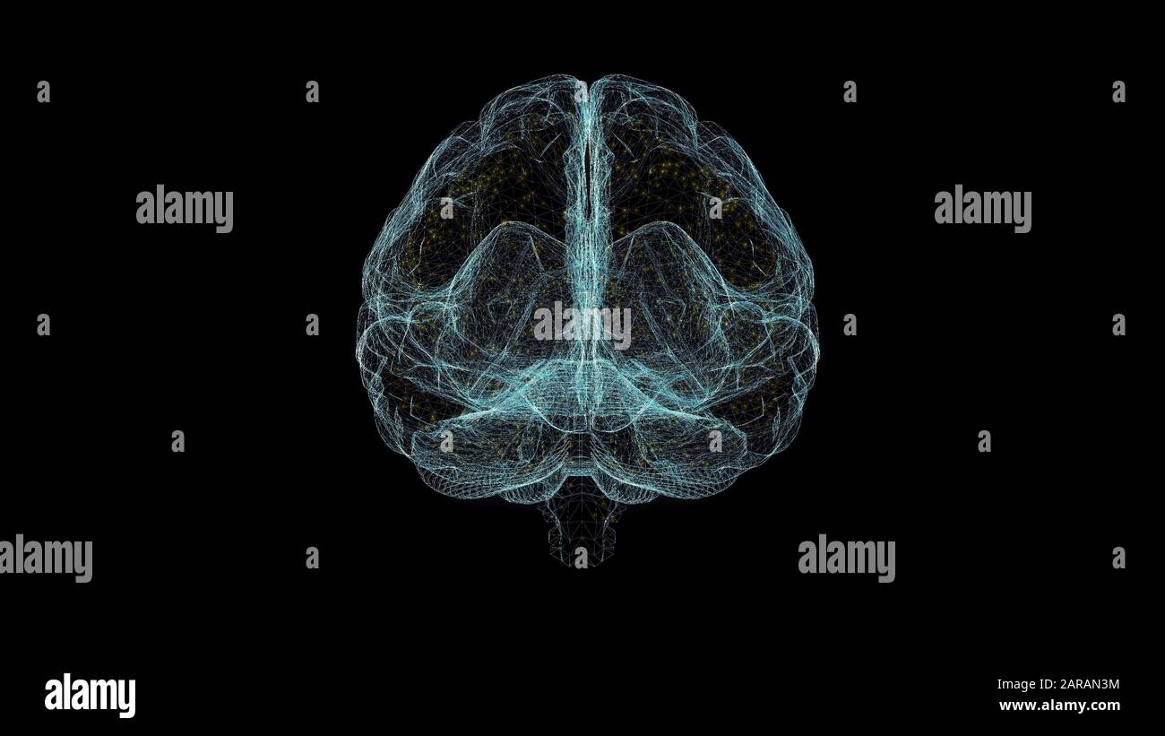 Hirn-Hologramm-Drahtmodell. Schöne 3D-Wiedergabe auf schwarzem Hintergrund Stockfoto