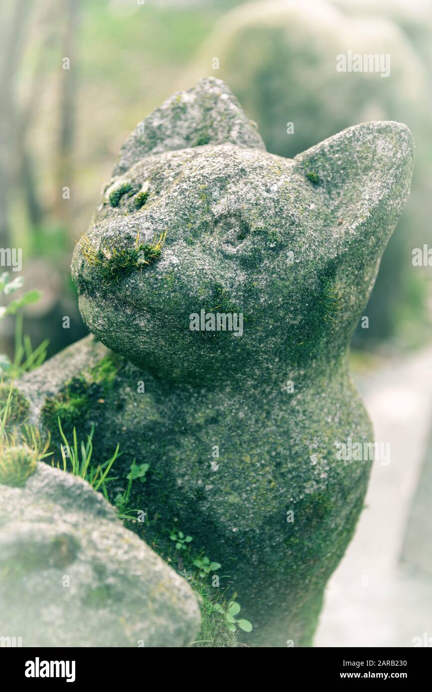 Niedliche Statue aus moosem Stein auf dem Pariser Tierfriedhof in Asnières-sur-seine, Frankreich. Der "Friedhof der Hunde und anderer Haustiere" ist der Olde Stockfoto