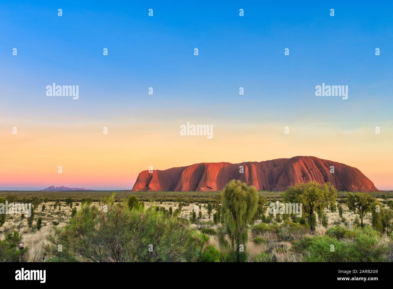 Spektakulärer Sonnenaufgang, Uluru und Kata Tjuta, umrahmt von einem lebhaften Sonnenaufganghimmel und üppiger, winterlicher Wüste, die sie Eichen und Wüstengräser. Stockfoto