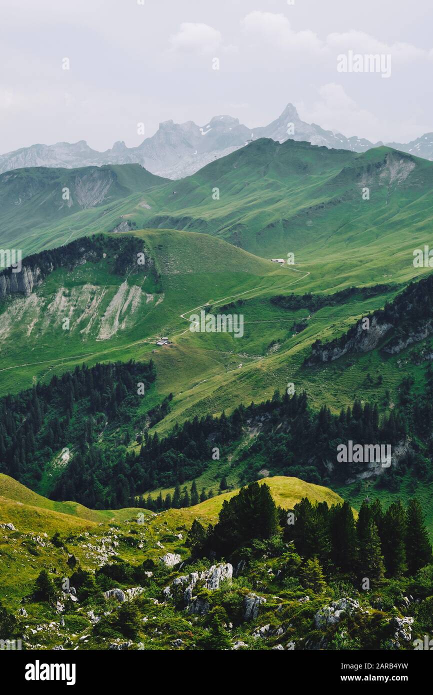 Das grüne Ackerland Berglandschaft und Wandergebiet von Stoos, Morschach, Schwyz, Schweiz EU - Schweizer Alpen Sommerberglandschaft Stockfoto
