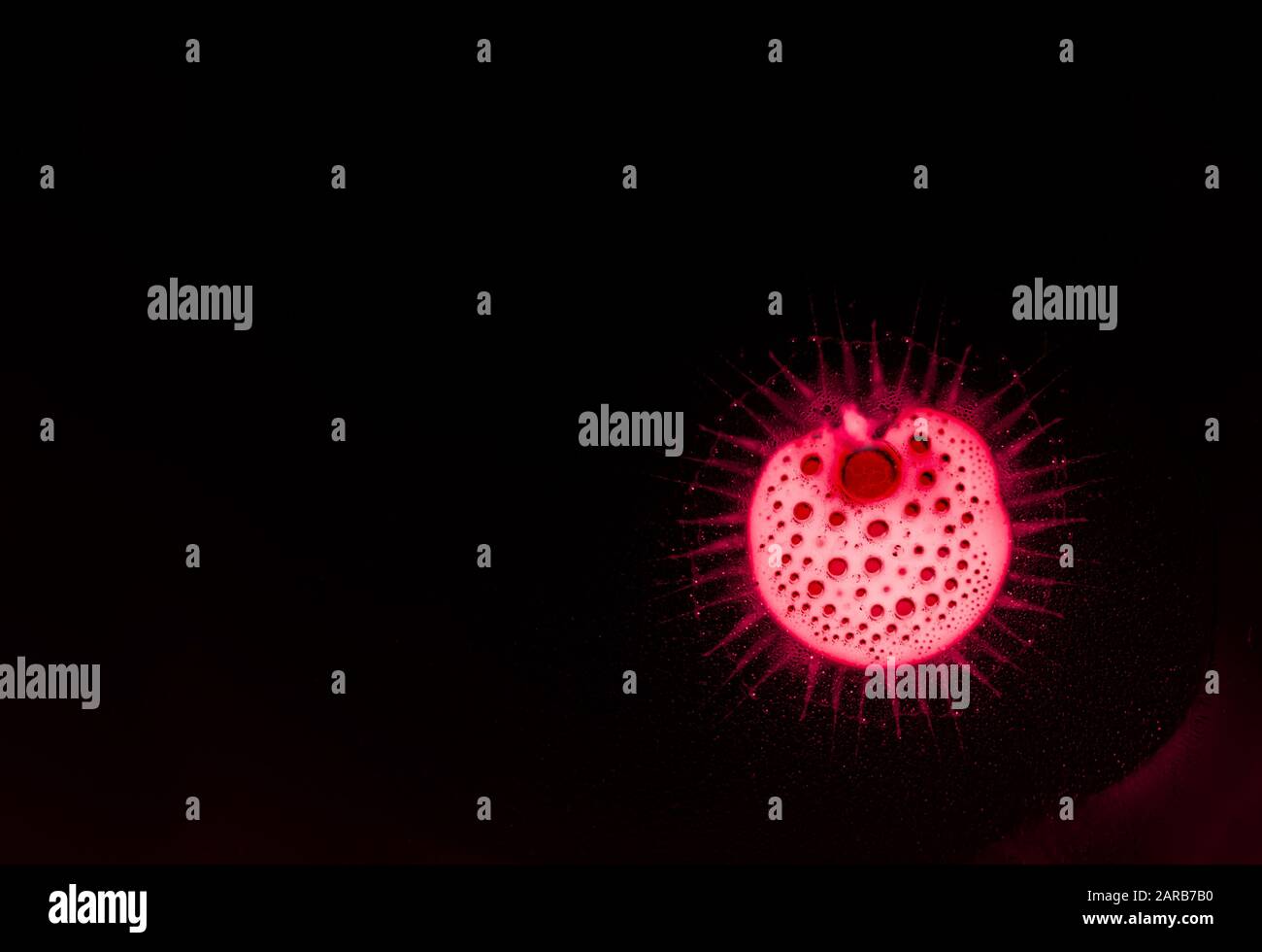 Coronavirus gefährlicher roter Zellhintergrund, konzeptionelle Zusammensetzung Stockfoto