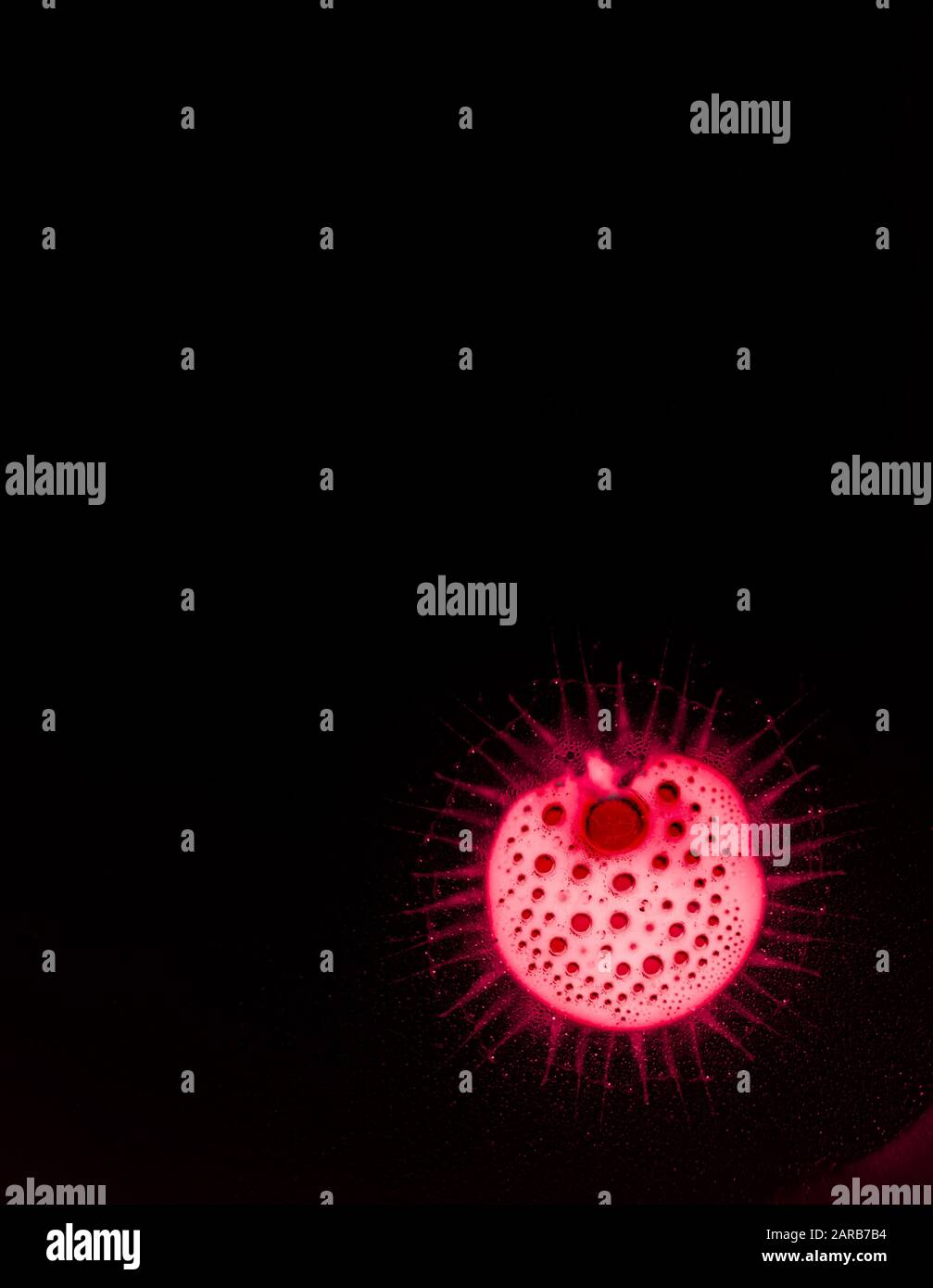 Coronavirus gefährlicher roter Zellhintergrund, konzeptionelle Zusammensetzung Stockfoto