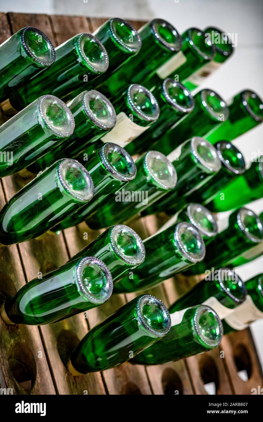 Flaschen für die Champagnerproduktion Stockfoto