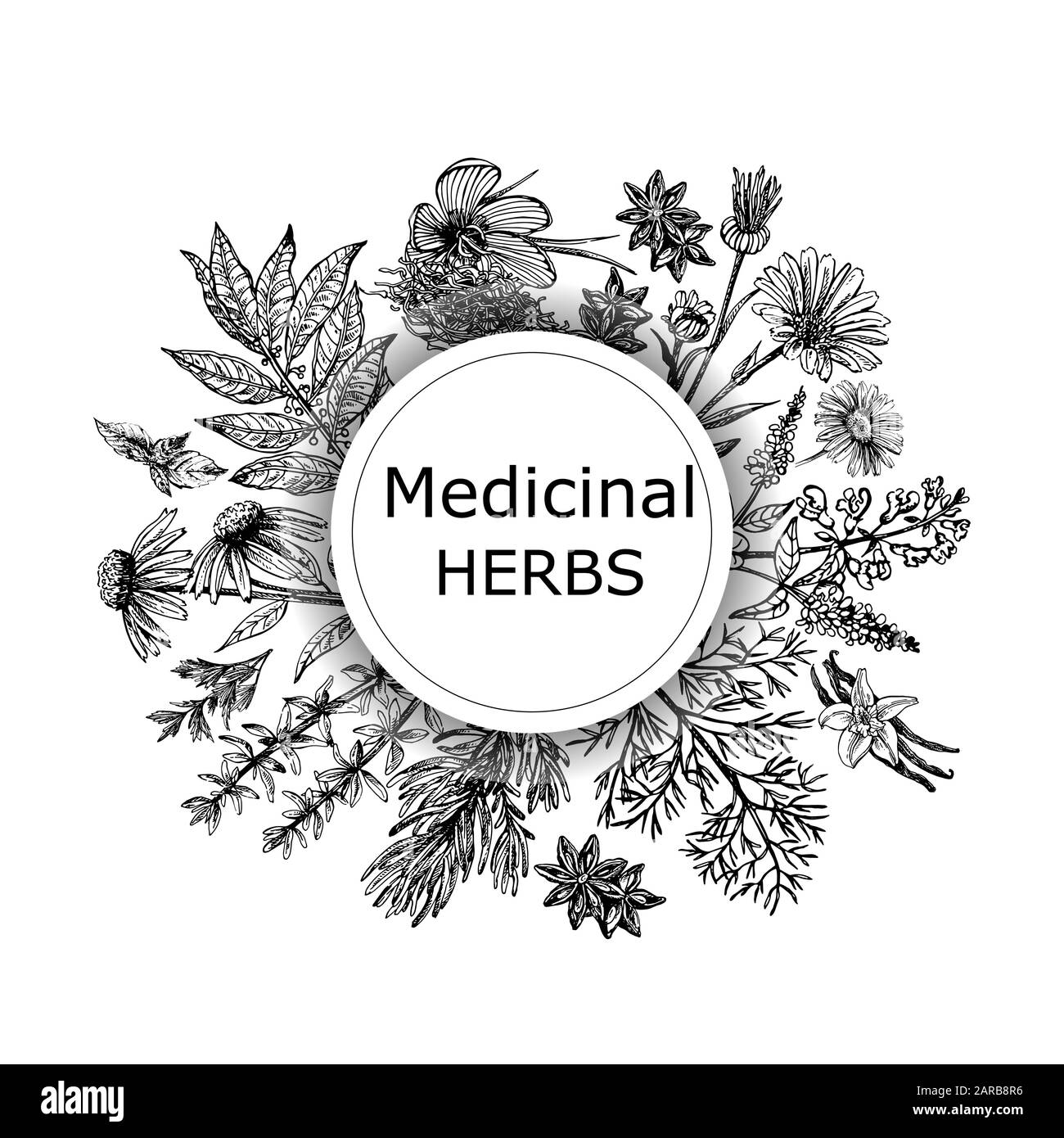 Plakatkarten-Zusammensetzung aus handgezeichneter Skizze verschiedene Arten von Heilpflanzen isoliert auf weißem Hintergrund. Vektorgrafiken. Stock Vektor