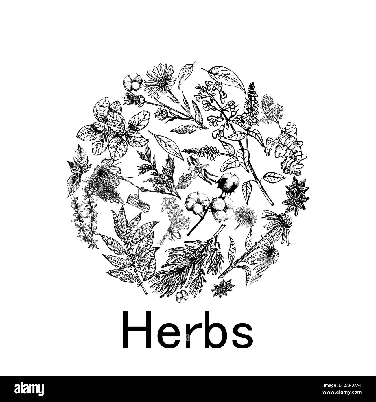 Plakatkarten-Komposition aus handgezeichneter Skizze verschiedene Arten von Pflanzen isoliert auf weißem Hintergrund. Vektorgrafiken. Stock Vektor