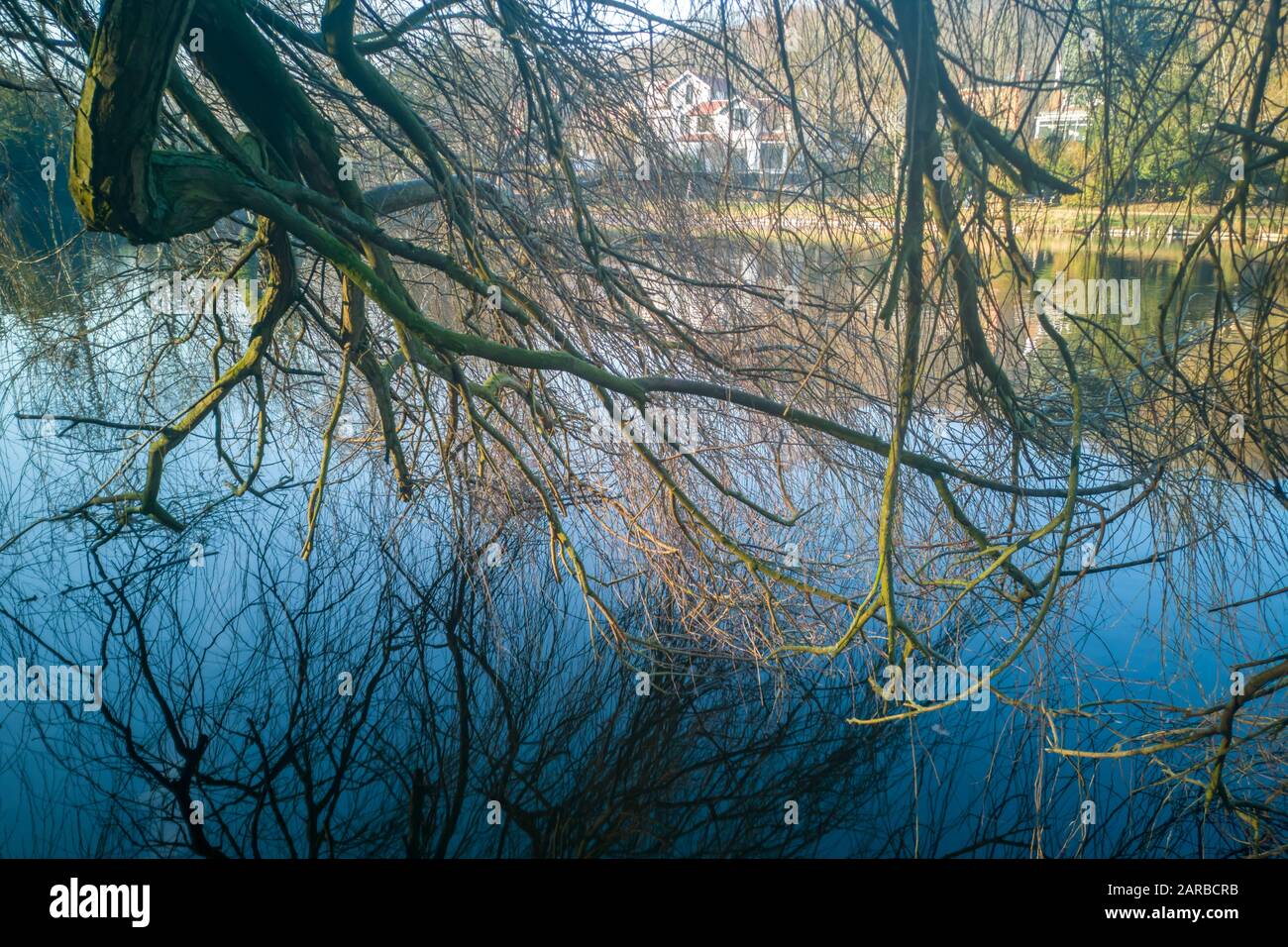 Reflexionen von Ästen im Wasser am Etang de Corot im Winter in Ville d'Avray bei Paris, Frankreich Stockfoto