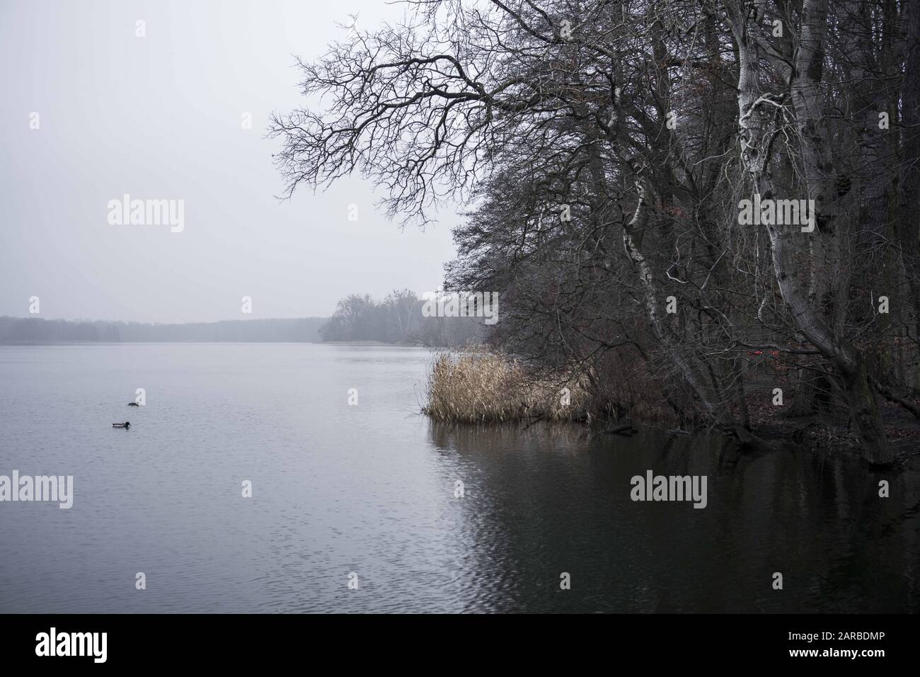 Posen, Großpolen, Polen. Januar 2020. Heute ist Der Internationale Tag der Holocaust-Erinnerung. Der Ursprung des künstlichen Rusalkasees ist mit dem Tod vieler Opfer des hitleritischen Regimes verbunden. Juden wurden während der Slave-Arbeit an der Vertiefung des Seebecken erbeutet, geschlagen und ermordet. Außerdem gibt es beim Erstarken der Ufer und am Grund des Sees noch jüdische Grabsteine, die beim Bau des Sees verwendet wurden. Nach der Herbeiführung von Matzevot soll hier ein Denkmal zur Erinnerung an jüdische Opfer errichtet werden. Die Gegend um den See hat mehrere Gedenkstätten, denn sei es Stockfoto