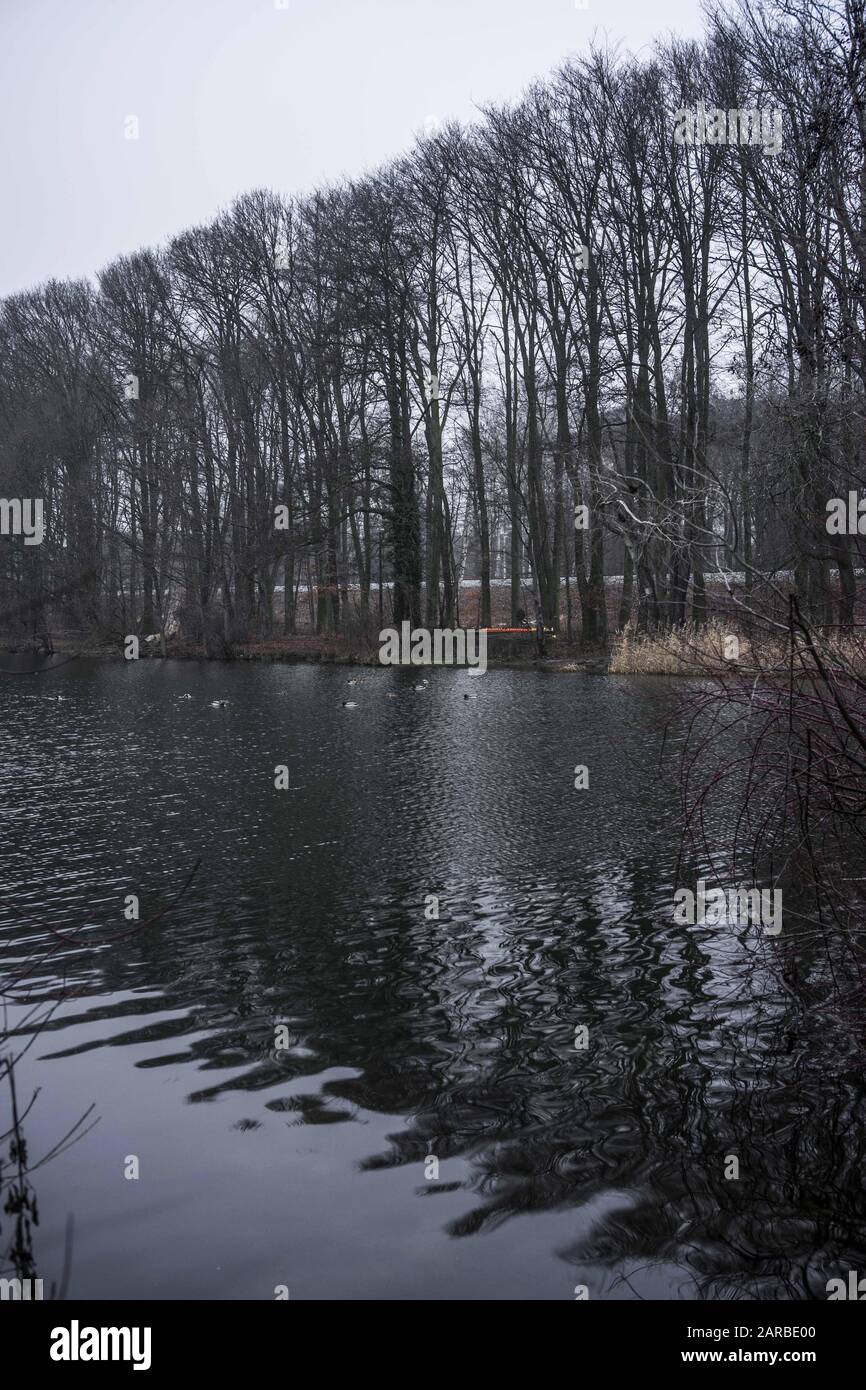 26. Januar 2020, Posen, Großpolen, Polen: Heute ist Der Internationale Holocaust-Gedenktag. Der Ursprung des künstlichen Rusalkasees ist mit dem Tod vieler Opfer des hitleritischen Regimes verbunden. Juden wurden während der Slave-Arbeit an der Vertiefung des Seebecken erbeutet, geschlagen und ermordet. Außerdem gibt es beim Erstarken der Ufer und am Grund des Sees noch jüdische Grabsteine, die beim Bau des Sees verwendet wurden. Nach der Herbeiführung von Matzevot soll hier ein Denkmal zur Erinnerung an jüdische Opfer errichtet werden. Die Gegend um den See hat mehrere Gedenkstätten, denn sei es Stockfoto