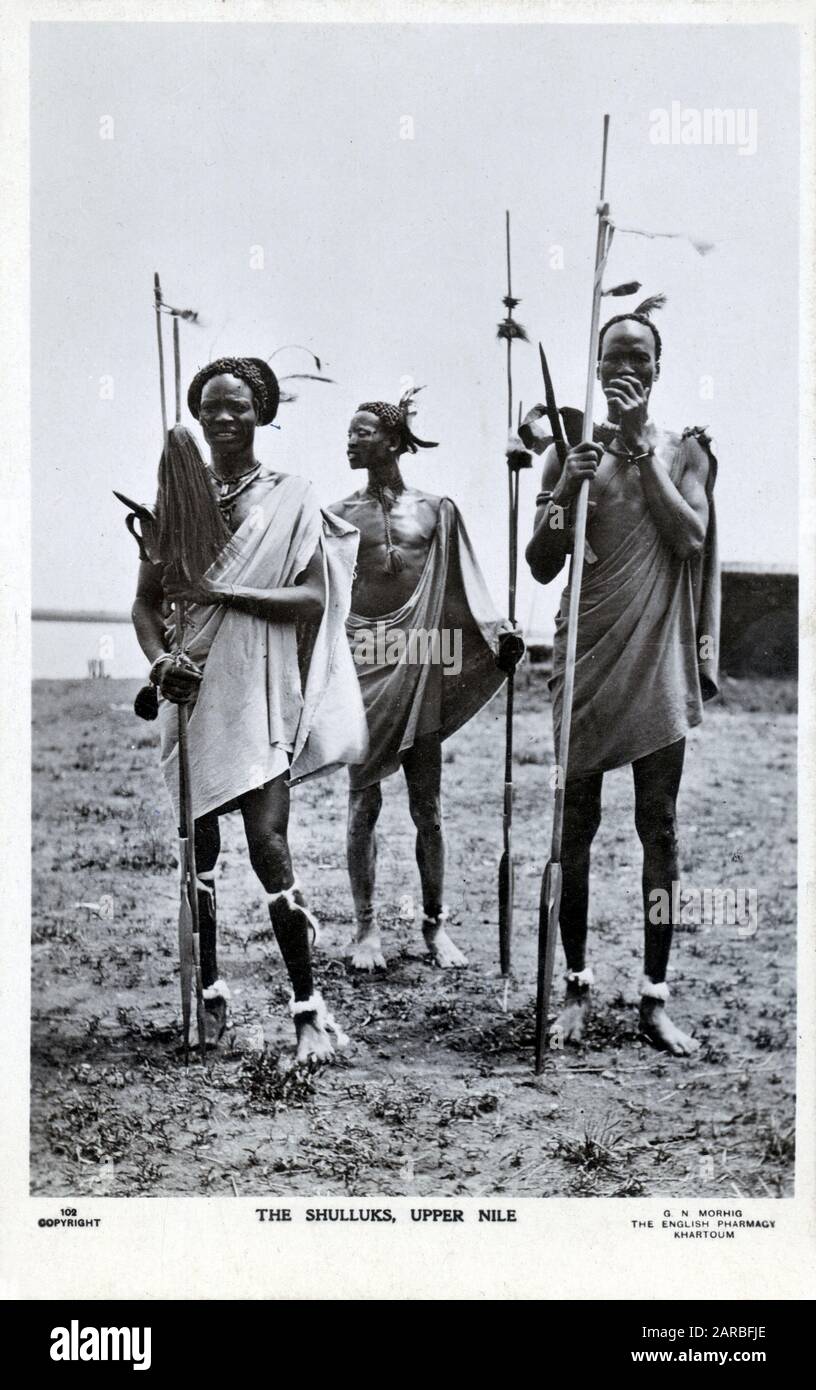 Drei Shilluk-Krieger des Upper Nile, Sudan, Afrika – mit traditionellen Waffen und mit Federknoten (einer mit dem Kopf eines Krans) Stockfoto