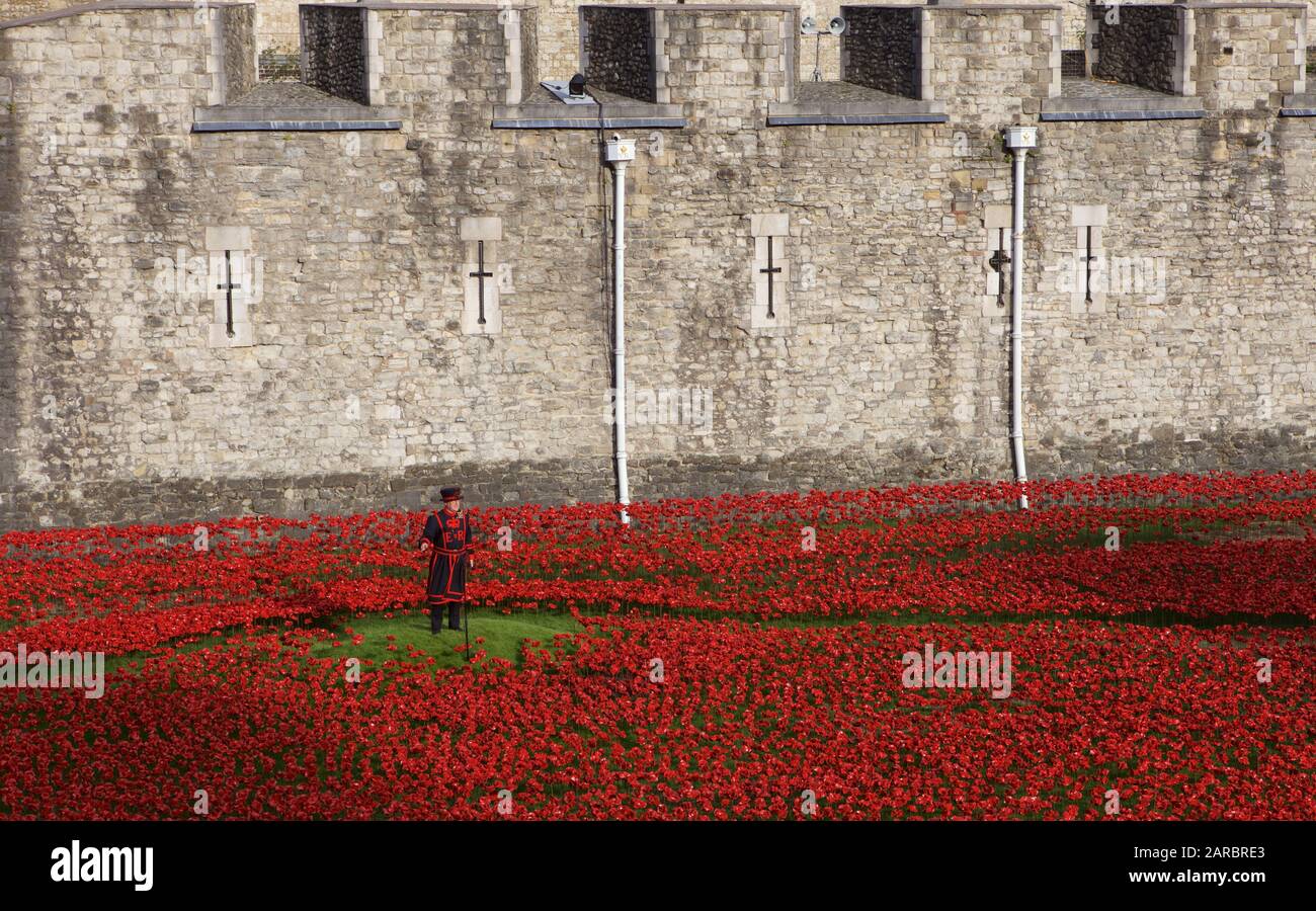 Beefeater stehend in einem Feld mit Mohnblumen, der Teil der Kunst installation Blut fegte Länder und Meere von Rot am Tower von London. Stockfoto