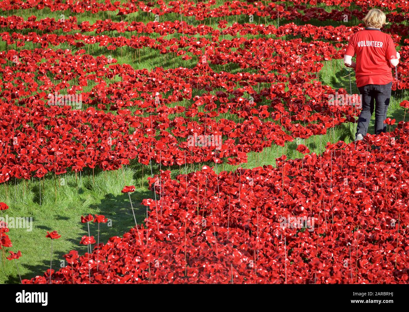 Einer der Freiwilligen auf der Tower von London Blut fegte Länder und Meere der Roten Installation. Stockfoto