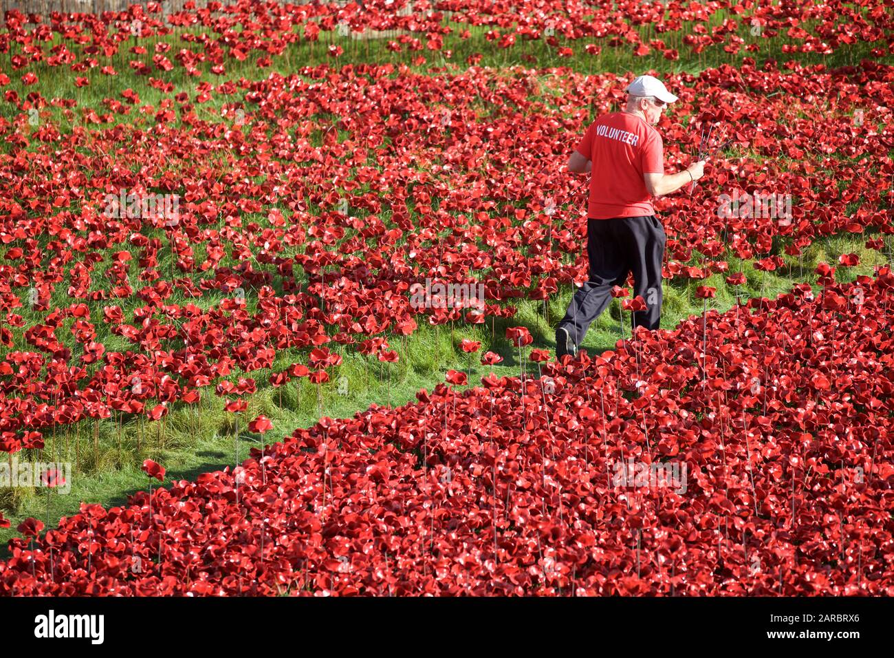 Einer der Freiwilligen auf der Tower von London Blut fegte Länder und Meere der Roten Installation. Stockfoto