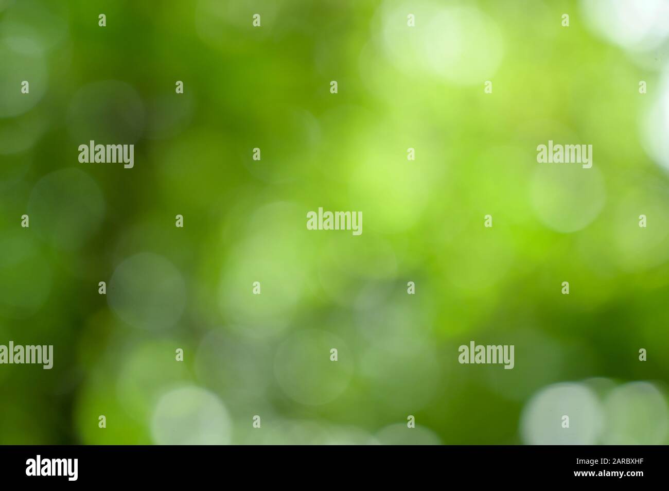 Bokeh blur grüner Hintergrund Stockfoto