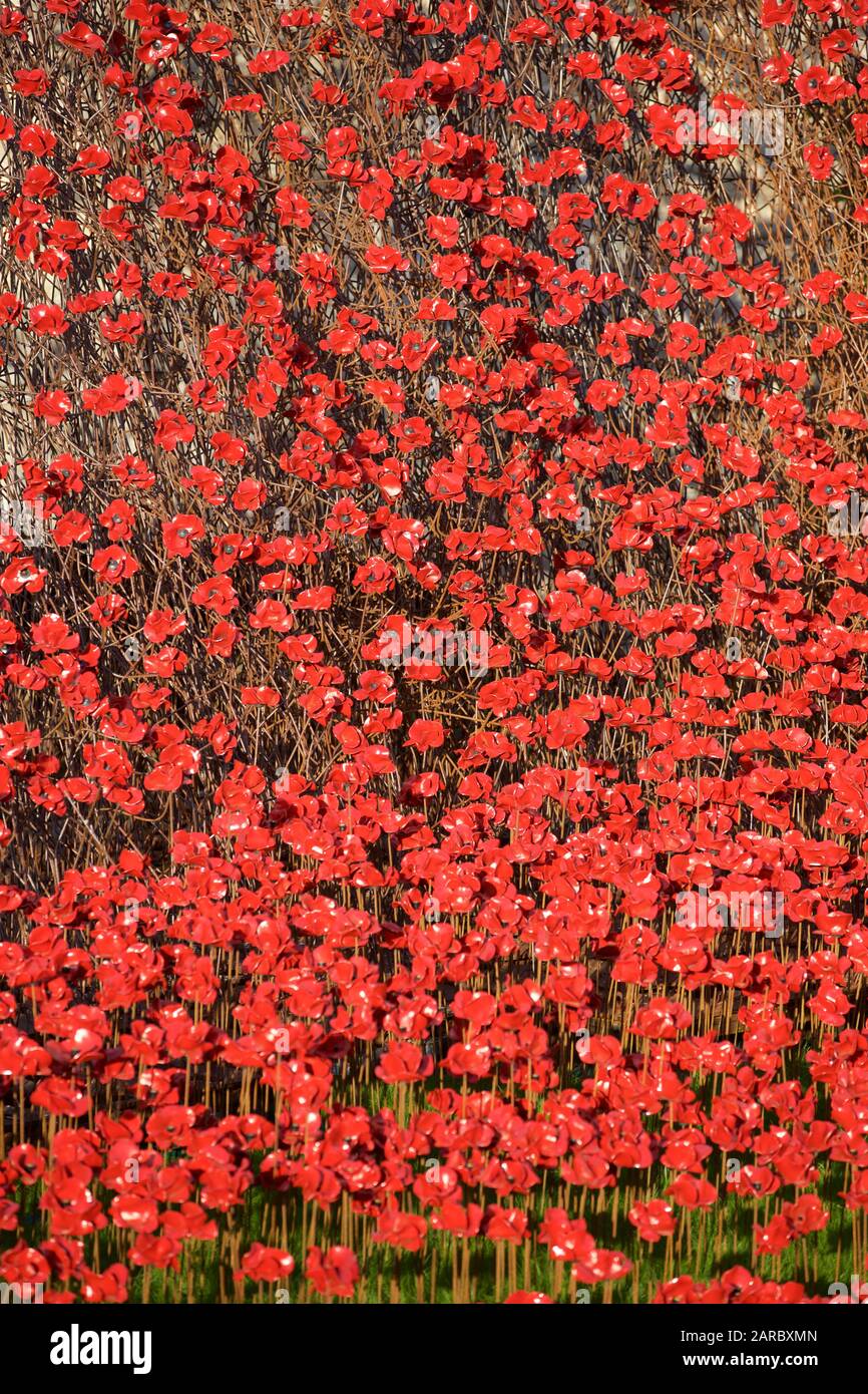 Mohnblumen aus Blut fegte Länder und Meere der Roten kunst Installation am Tower von London Kennzeichnung 100 Jahre seit dem 1. Weltkrieg. Stockfoto