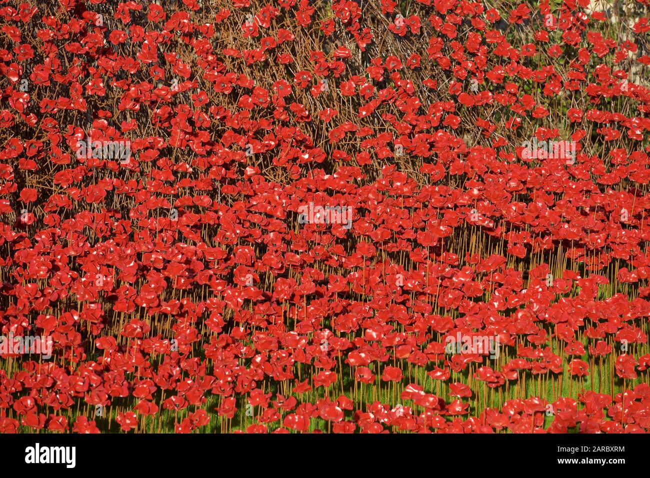 Mohnblumen aus Blut fegte Länder und Meere der Roten Installation am Tower von London Kennzeichnung 100 Jahre seit dem 1. Weltkrieg. Stockfoto