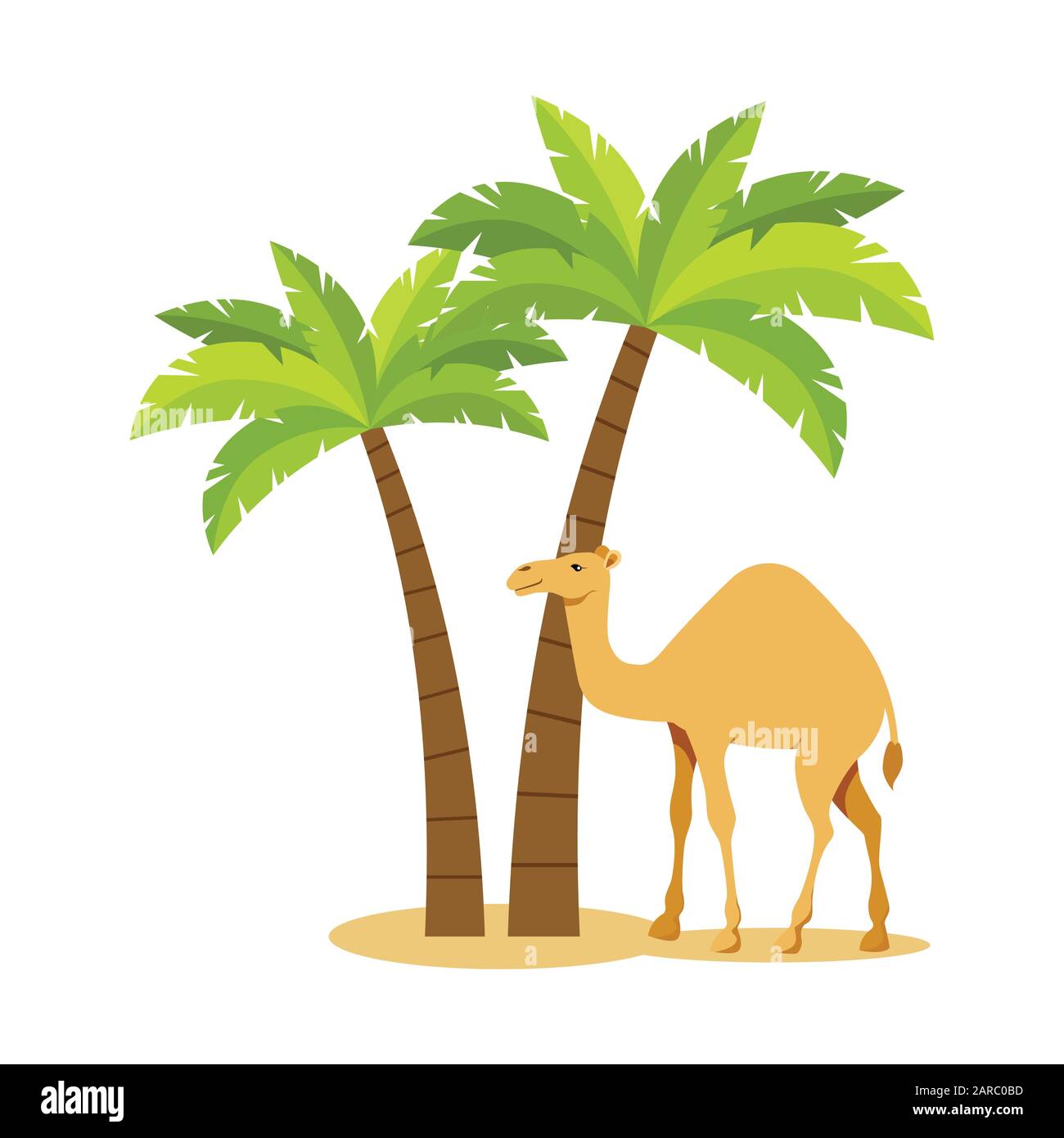 Kamel unter den Palmen. Vektorgrafiken Stock Vektor