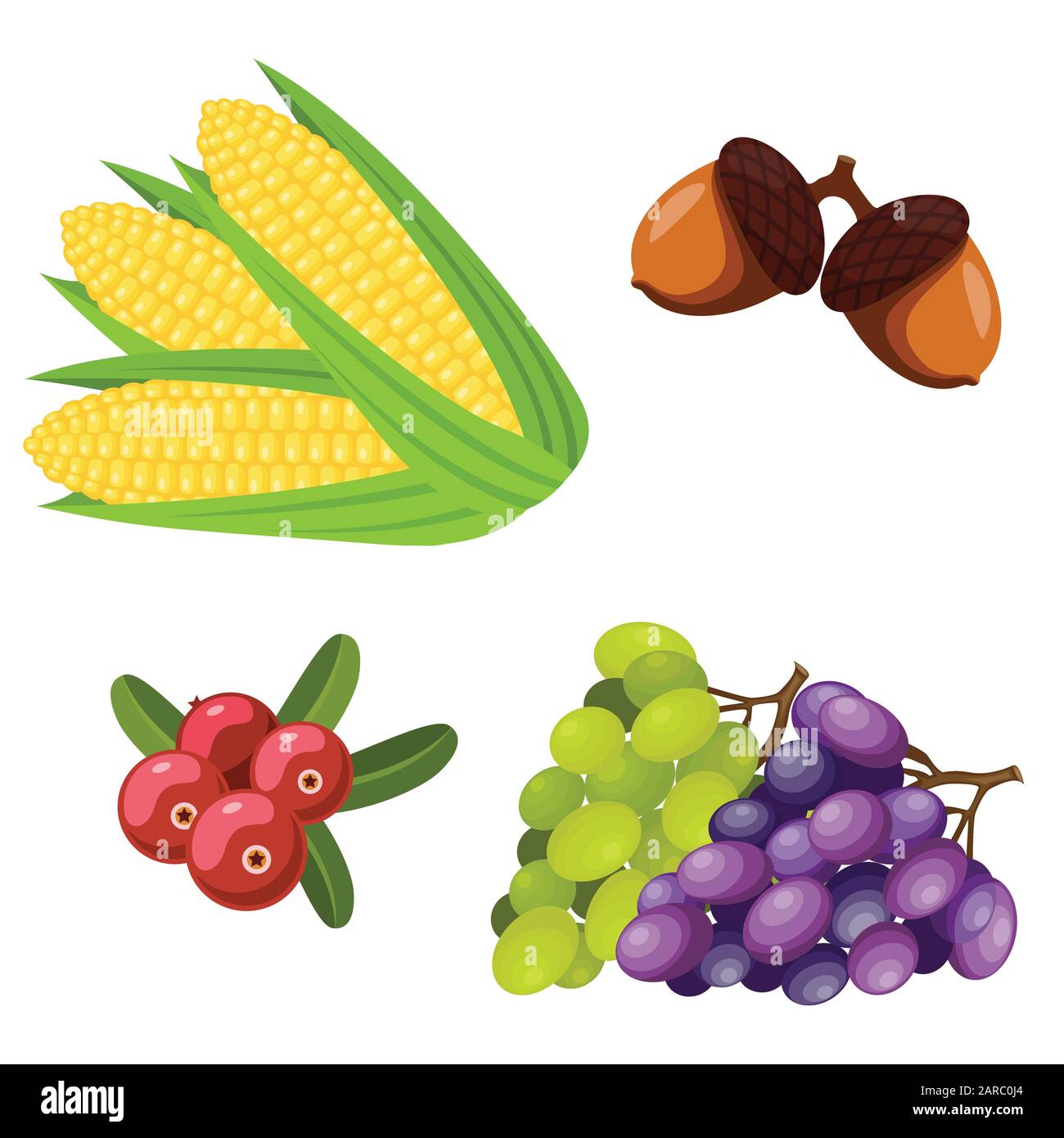 Thanksgiving Day Icons gesetzt. Kornen, Eicheln, Preiselbeeren, Trauben. Vektorgrafiken. Stock Vektor