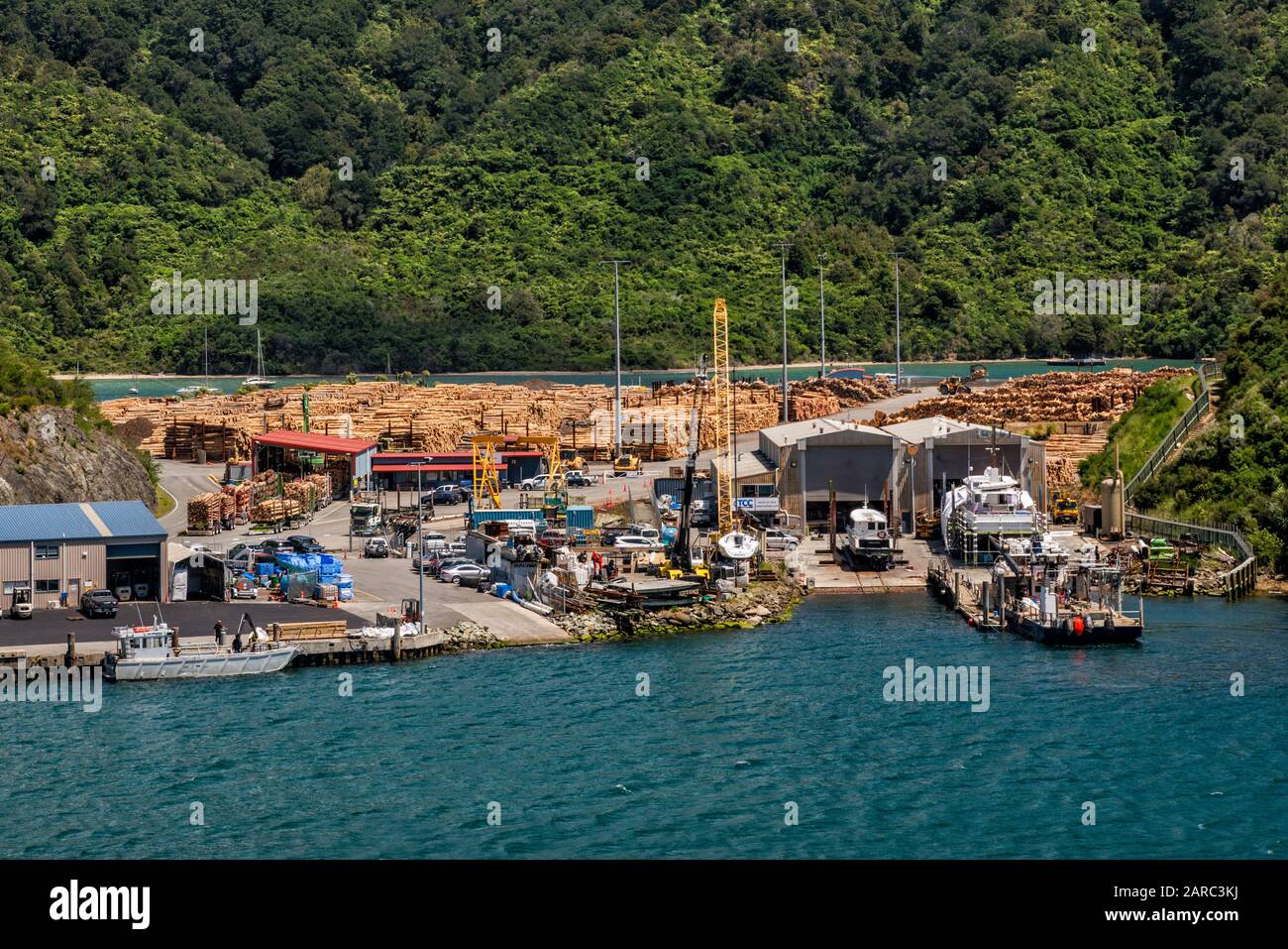 Holzstämme, die in der Picton Harbour Wharf aufbewahrt werden und auf den Versand warten, Picton, Marlborough Region, South Island, Neuseeland Stockfoto