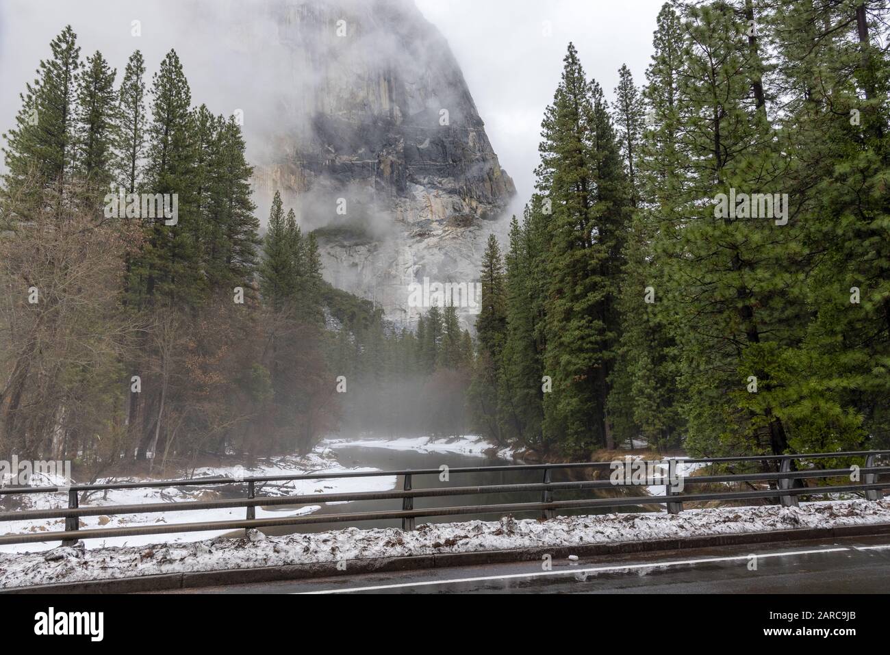 Aufnahme von Pinien und Fluss an einem nebligen Tag Im Yosemite National Park Stockfoto