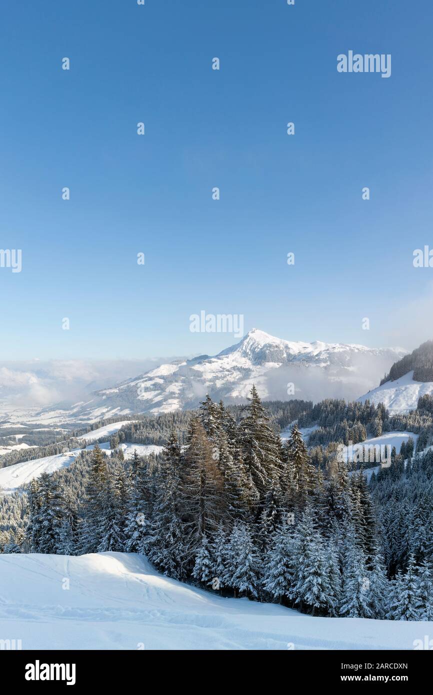 Winterblick auf die Kitzbüheler Alpen in Österreich, einschließlich des Kitzbüheler Horns mit klarem blauem Himmel darüber. Stockfoto