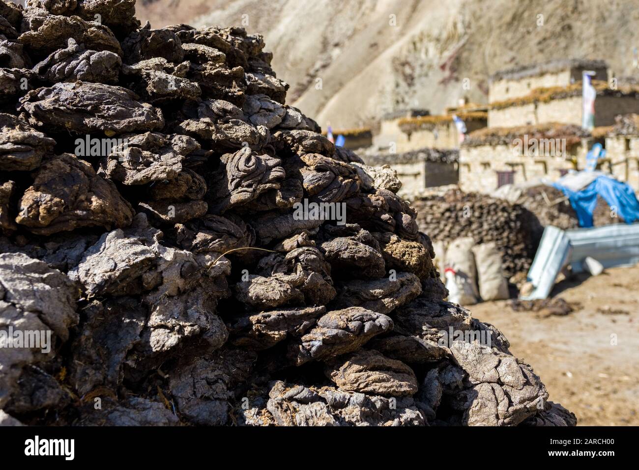 Yak-Dung, der für Treibstoff verwendet wird, im ethnischen tibetischen Dorf Dho Tarap in Dolpo, Nepal Stockfoto