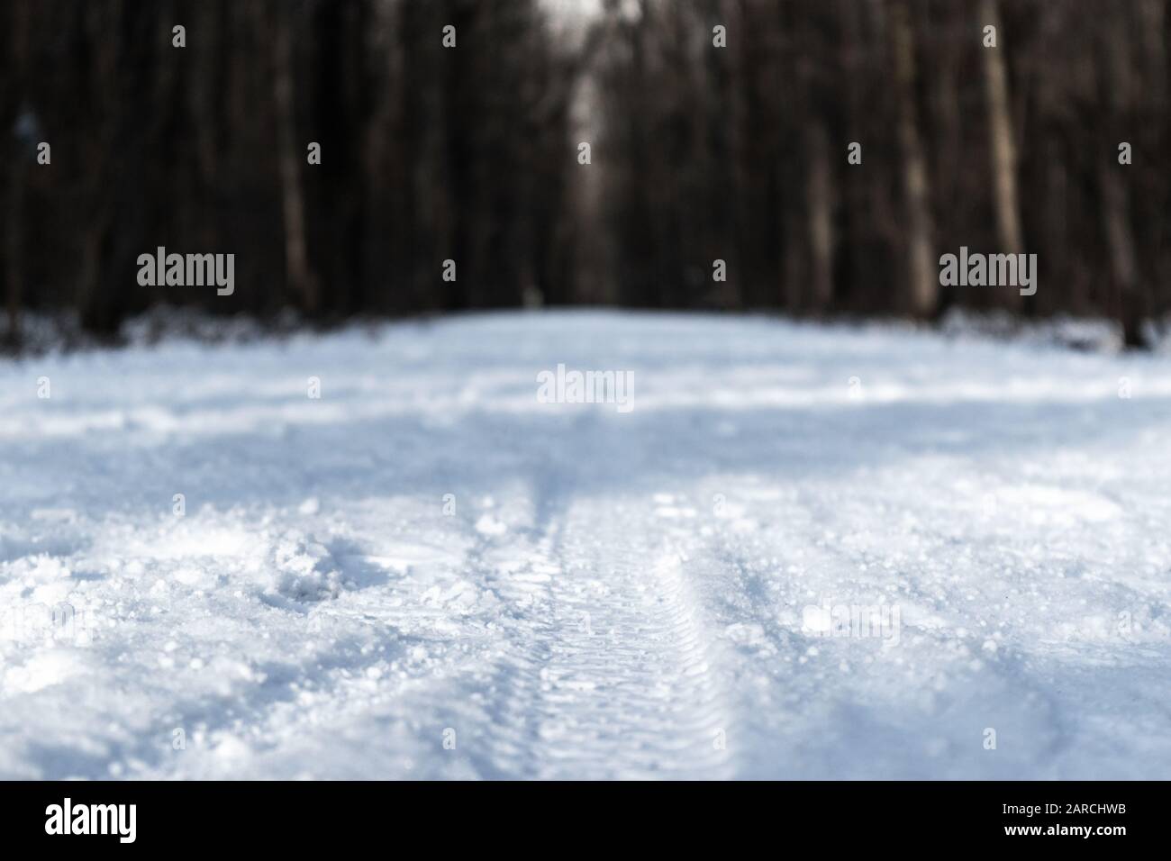 Fußabdrücke Radreifen drucken auf weißem Schnee im Winterwald Natur Nahgrund. Umgebung am sonnigen Tag mit frischem Kontrast und verschwommenem Bac Stockfoto