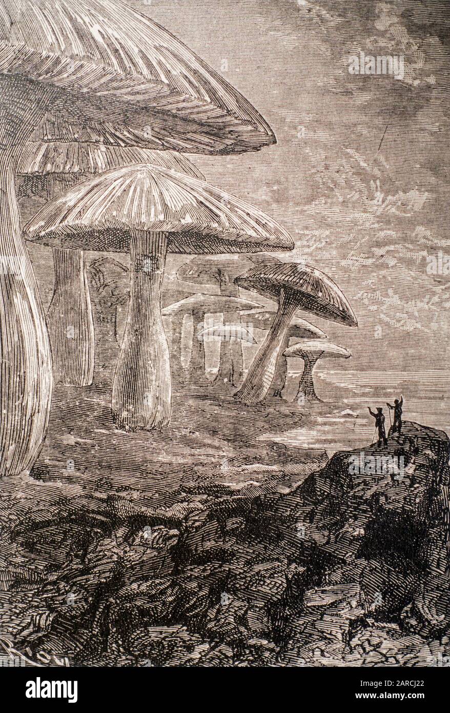 Buchillustration aus dem Jahr 1864, die Riesenpilze aus dem Science-Fiction-Roman "Reise zum Zentrum der Erde" des französischen Schriftstellers/Romanschriftstellers "Jules Verne" zeigt Stockfoto