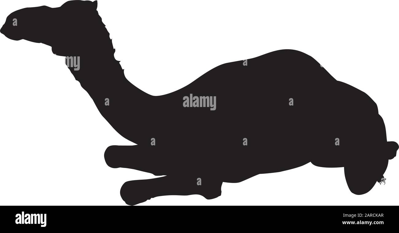 Arabische, einhöckige Kamelschere Silhouette, Vektorgrafiken. Stock Vektor
