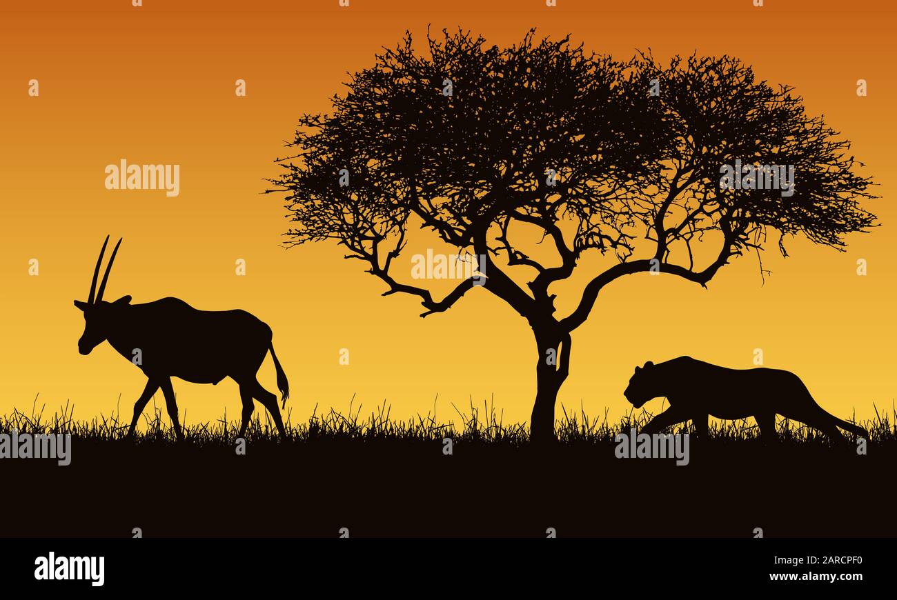 Realistische Darstellung eines schleichenden Löwen und Gazellen oder Antilopen-Silhouetten. Der Teufelskelch jagt nach einem Oryx. Safari-Landschaft mit Gras, Baum und Ora Stock Vektor