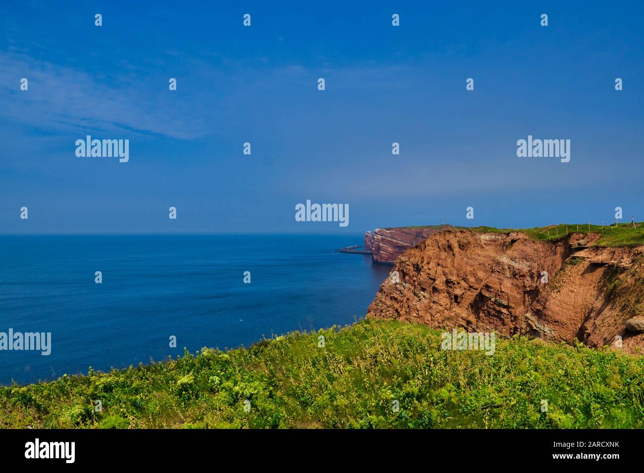 Die Küste von Helgoland - blauer Himmel und blaue Nordsee - grüne Blume vor Stockfoto