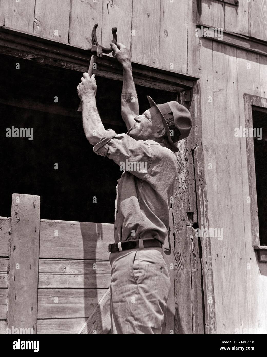 DREISSIGER JAHRE SENIOR MAN NAGELT EIN GLÜCKLICHES HUFEISEN ÜBER EINER SCHEUNENTÜR - F755 HAR001 HARS SENIOR ADULT AGRICULTURE B&W LUCK OLD AGE OLDSTERS OLDSTER FARMERS LOW ANGLE LUCKY TRADITION ARBEITSBERUFE ÄLTESTE GLÜCK NAGELN KONZEPT KONZEPT BEGRIFF ABERGLÄUBISCHE ABERGLÄUBISCHE ÄLTERE MAN SYMBOLISCHE KONZEPTE HUFEISENSCHWARZE UND WEISSE KAUKASISCHE ETHNIE HAR001 ARBEIT AN DER ALTMODISCHEN DARSTELLUNG Stockfoto