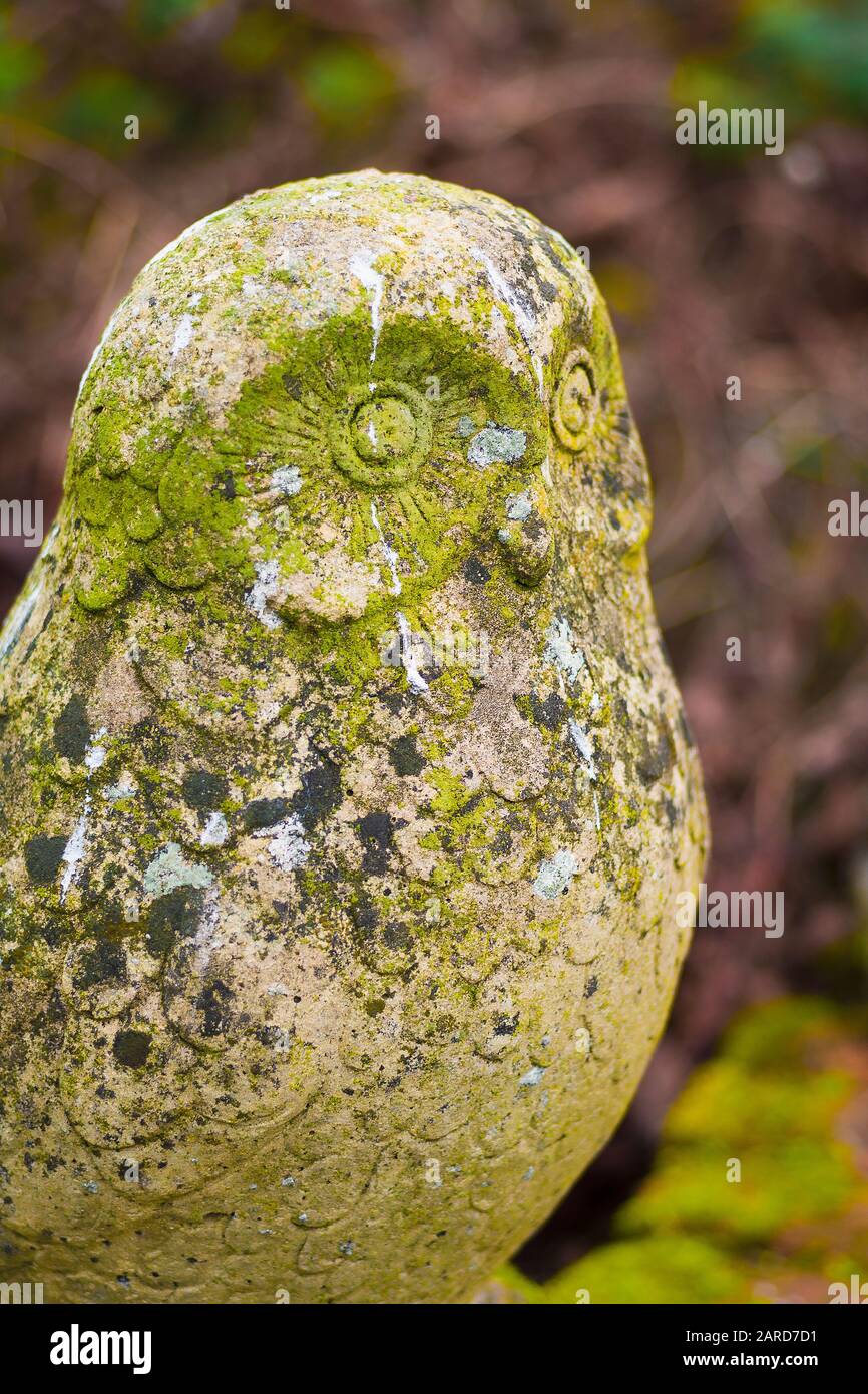 Eine verwitterte dekorative Ziereule, die drei verschiedene Arten von Flechten trägt, in einem Wiltshire Garten Stockfoto