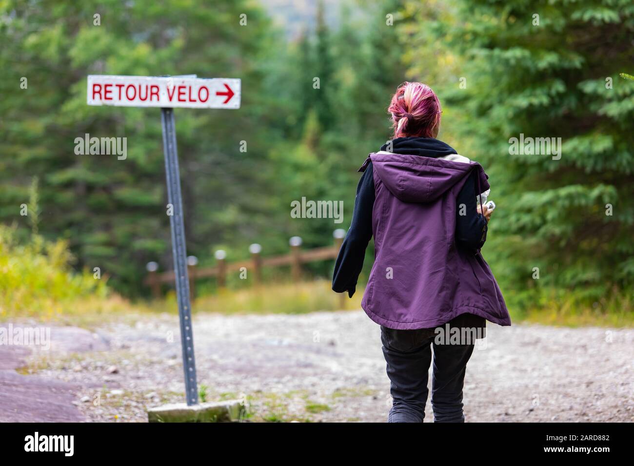 Rückansicht der Frau mit gefärbtem Haar, die warme Kleidung trägt und alleine mit dem französischen Fahrrad spazieren geht, Textausrichtung Brett gegen Bäume im Wald Stockfoto