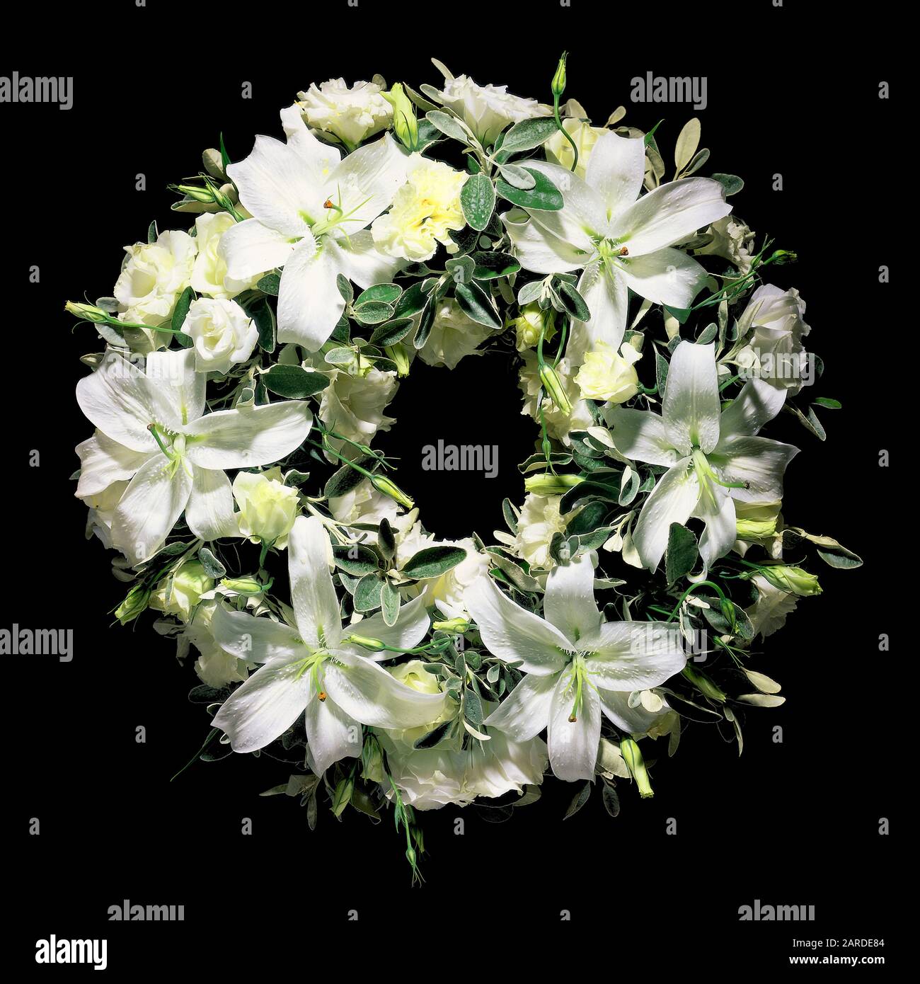Trauerkranz Weiße Lilienblätter auf schwarzem Grund Stockfoto