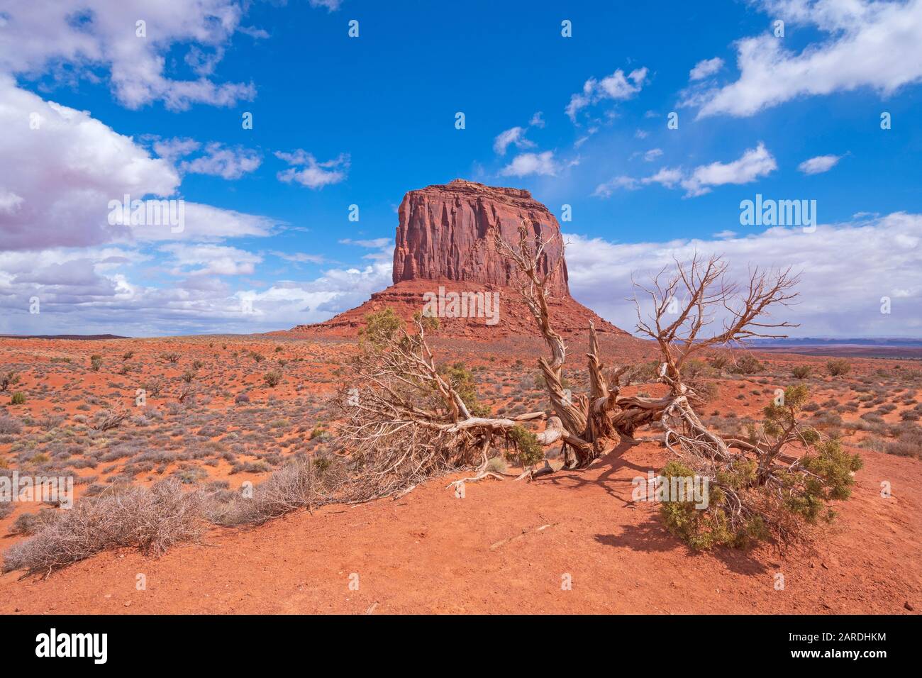 Wüstenlandschaft an einem sonnigen Tag im Monument Valley in Arizona Stockfoto