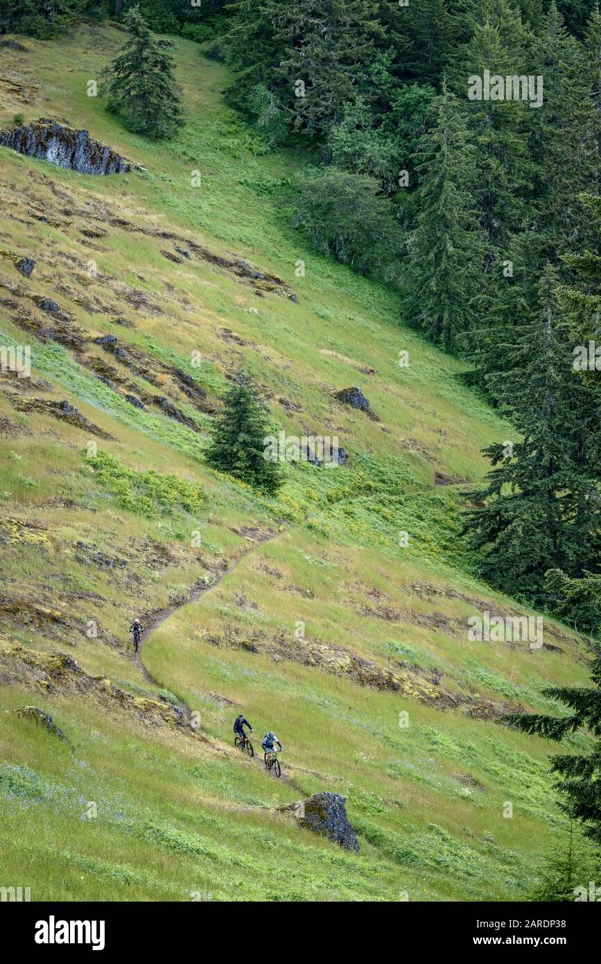 Mountainbiking auf dem Tire Mountain Trail, Willamette National Forest, Cascades Mountains, Oregon. Stockfoto