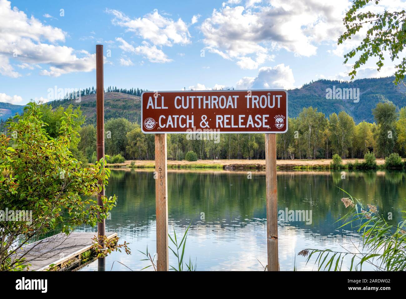 Ein Fang- und Freigabeschild für Cutthroat Trout entlang des Coeur d'Alene River bei Cataldo, Idaho, Teil des Silver Valley. Stockfoto