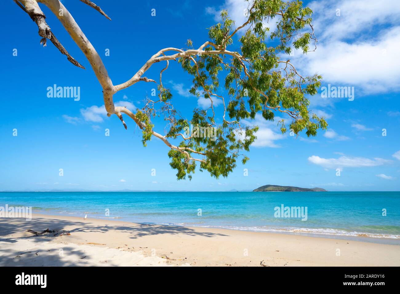 Klares Wasser und weißer Sand auf Putney Beach Great Keppel Island, Queensland Stockfoto