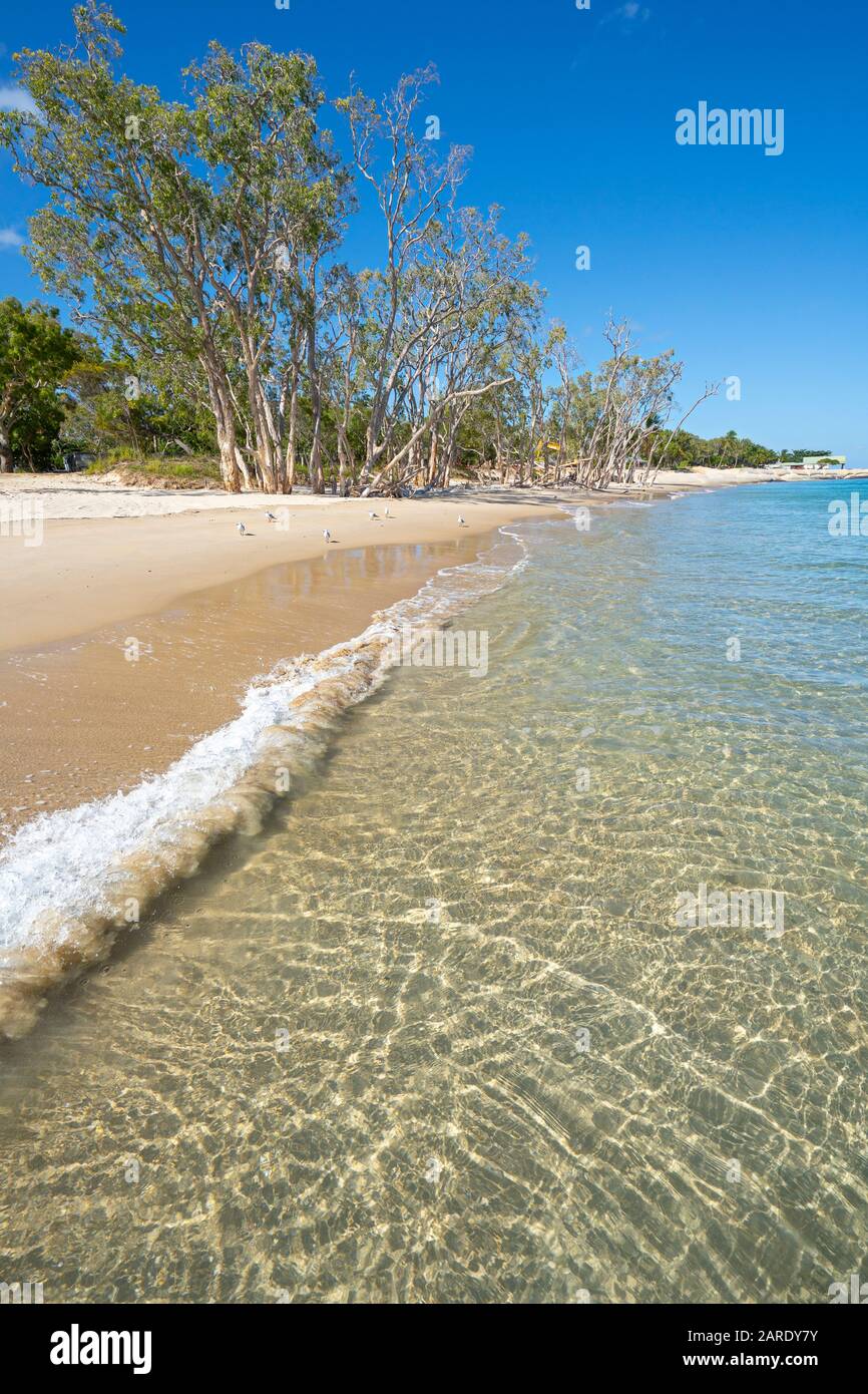 Klares Wasser und weißer Sand auf Putney Beach Great Keppel Island, Queensland Stockfoto