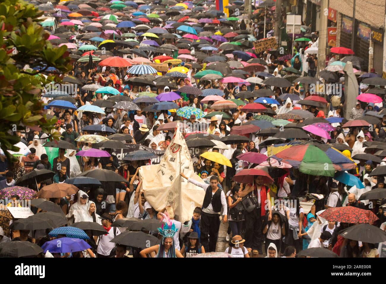 Studenten, die mit Regenschirmen im Regen marschieren.Die Studentenbewegung forderte eine größere Investition des Staates in kolumbianische öffentliche Universitäten und conv Stockfoto