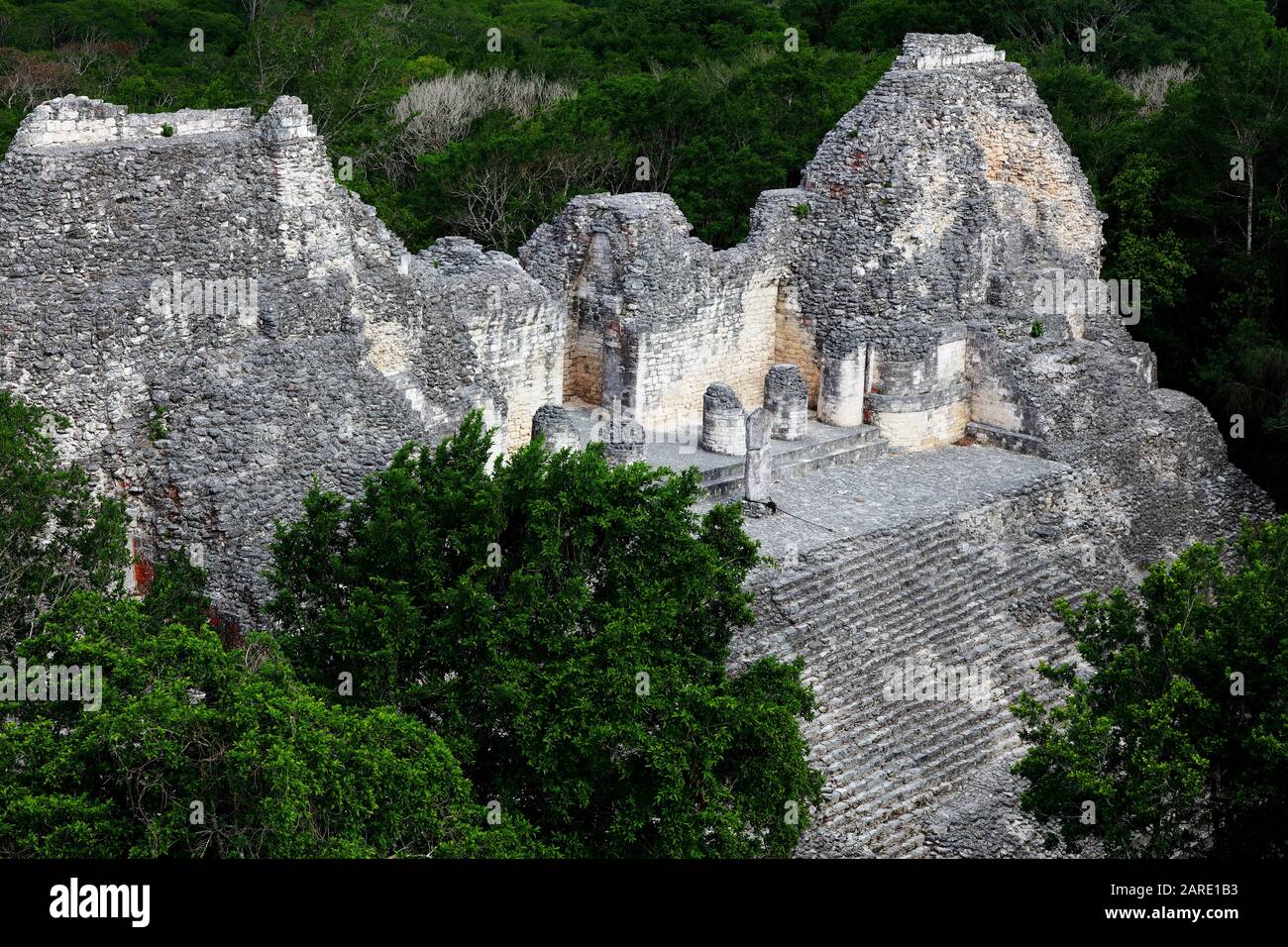 Ein hoch aufragender Blick auf die Oberstufe Der Struktur VIII in der alten Maya-Stadt Becan, Mexiko, umgeben von dichtem Wald. Stockfoto