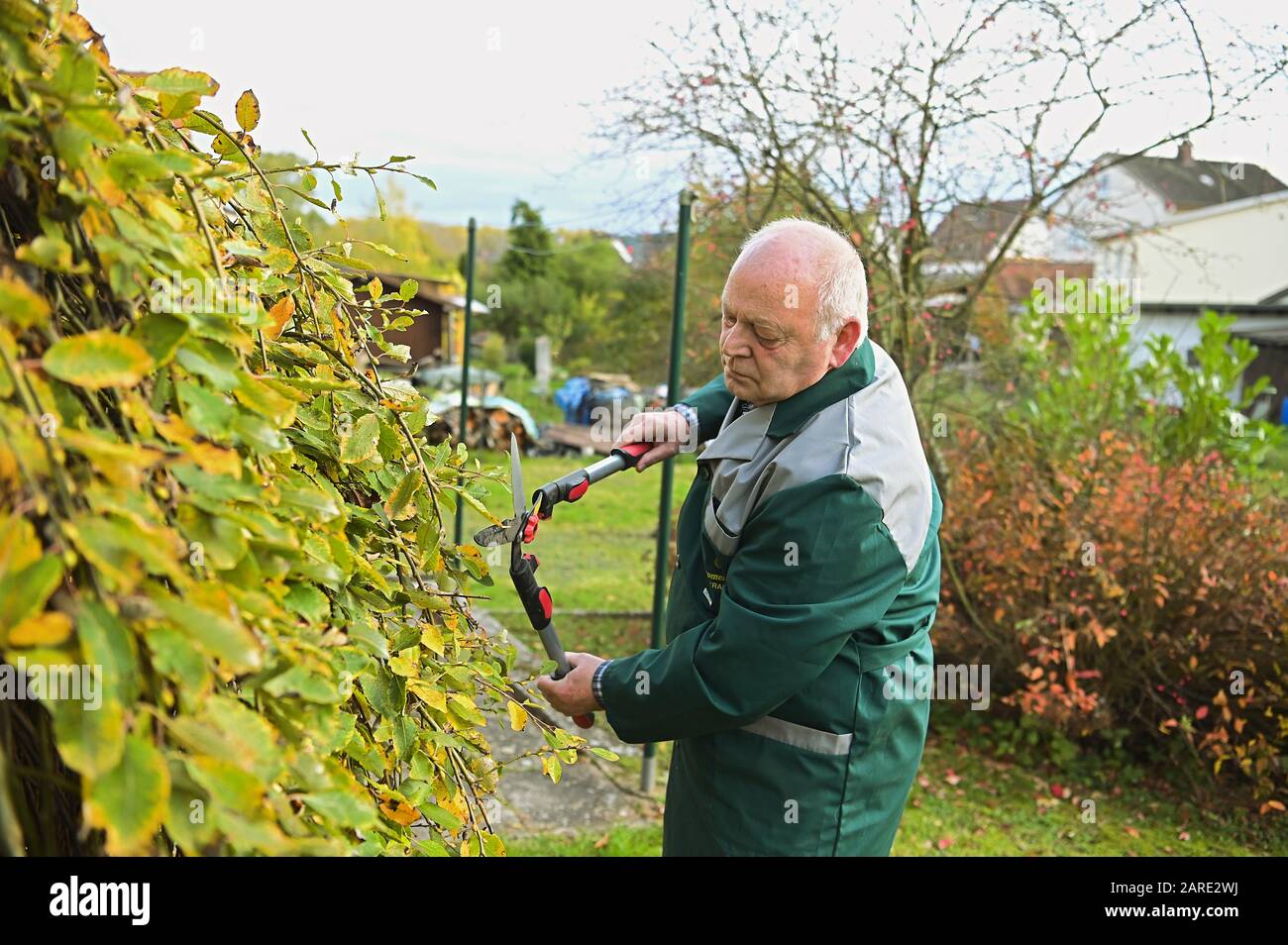 Burggrub, Deutschland. Okt. 2019. Gerd Bechler hilft bei der Gartenarbeit von Frau Fug (85 Jahre). Credit: Nicolas Armer / dpa / Alamy Live News Stockfoto