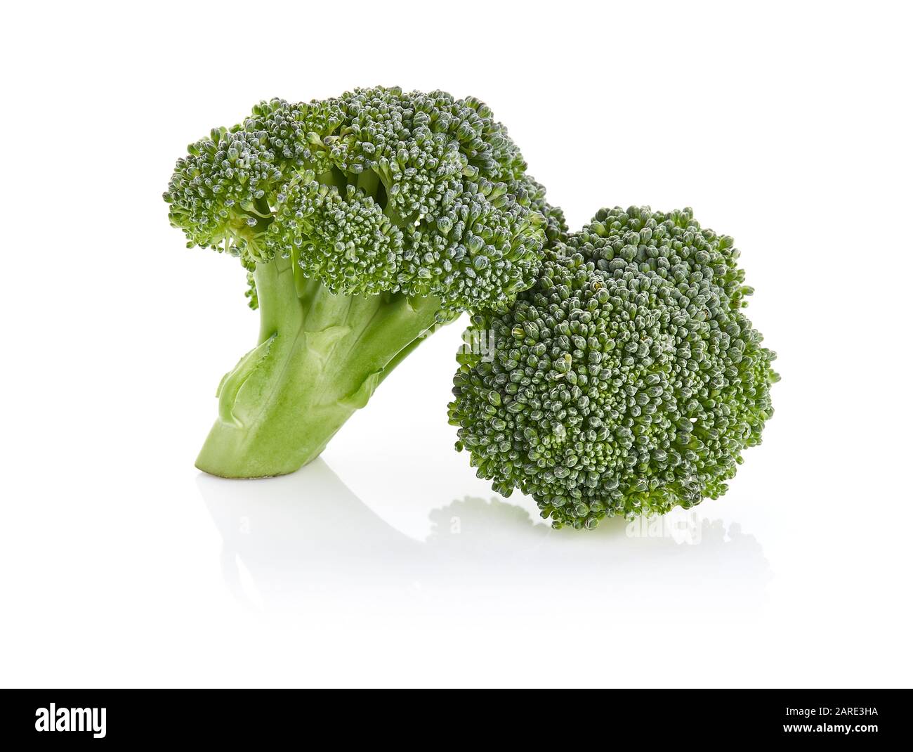 Frischer Broccoli Isoliert auf weißem Hintergrund Stockfoto