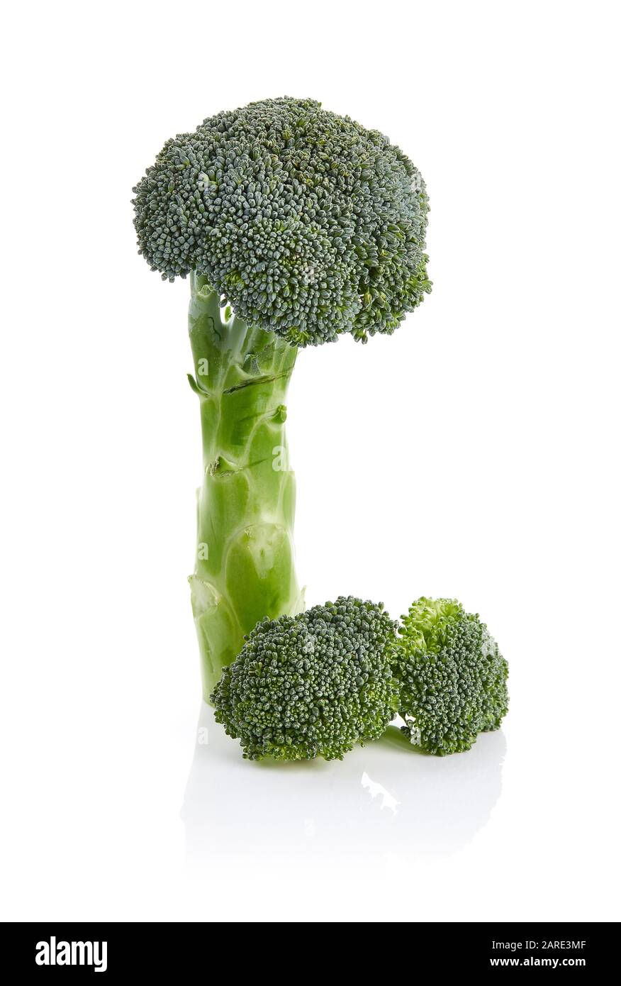 Frischer Broccoli Isoliert auf weißem Hintergrund Stockfoto